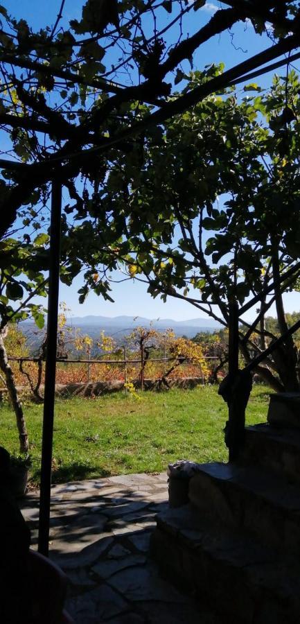 Maison d'hôtes An'Ca' La Pura à Villanueva del Conde Extérieur photo
